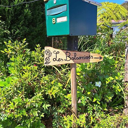 Les Balsamines Chez Michele & Daniel Lejlighed La Plaine-des-Palmistes Eksteriør billede